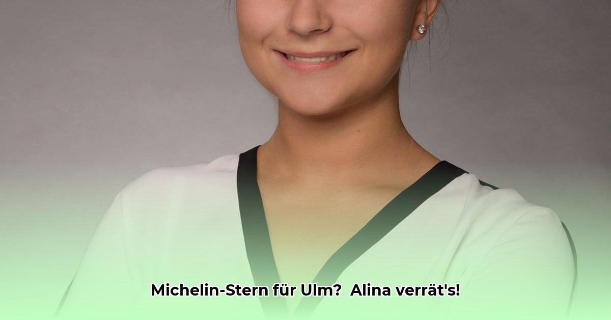alina-meissner-bebrout